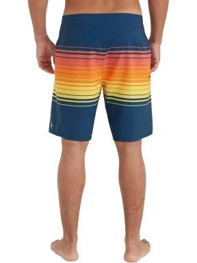 Hyperfreak Heat Stripe Line 19'' Boardshorts