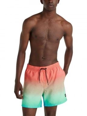 Jack O'Neill Cali Gradient 15'' Swim Shorts