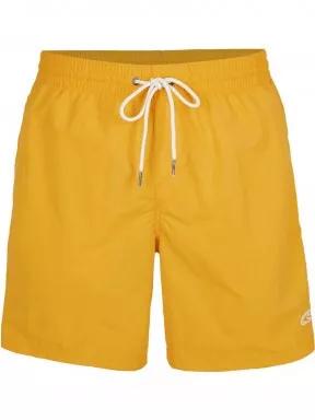 Vert Swim Shorts