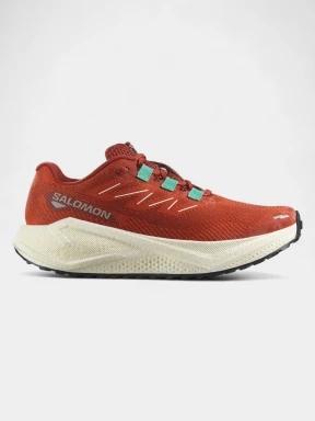 pantofi pentru alergare pt. femei Salomon Aero Blaze 3 GRVL W portocaliu 1