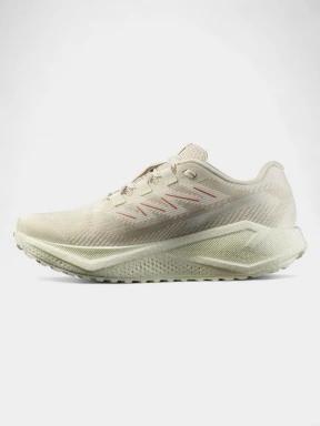 pantofi pentru alergare pt. femei Salomon Aero Blaze 3 GRVL W galben 3