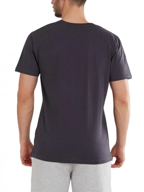 tricou cu maneci scurte pt. barbati Fundango Basic-T Logo 04 gri 3