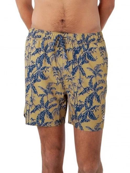 sort de plaja pt. barbati Barts Baltra Shorts maro 2