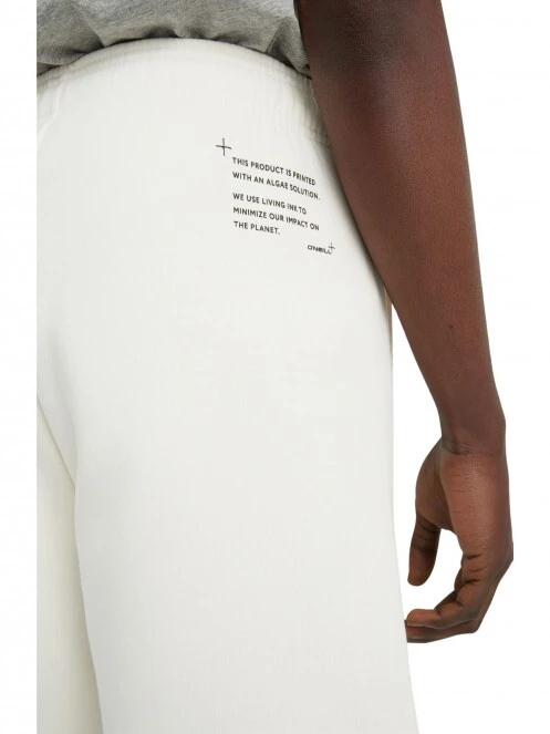 pantaloni scurti pt. barbati O'Neill Future Surf Short alb 6