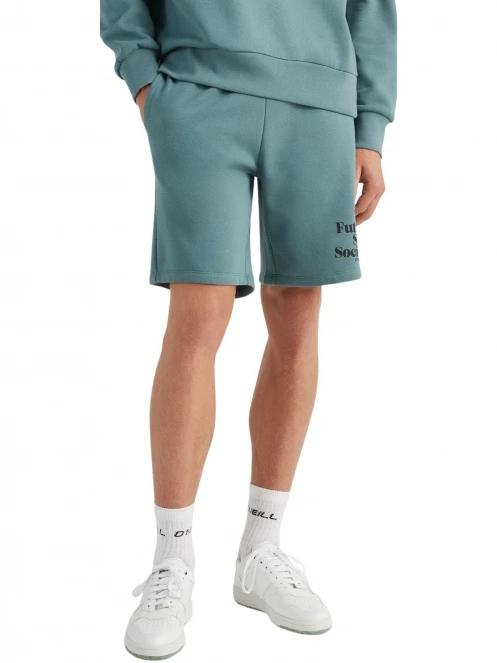 pantaloni scurti pt. barbati O'Neill Future Surf Short albastru 2