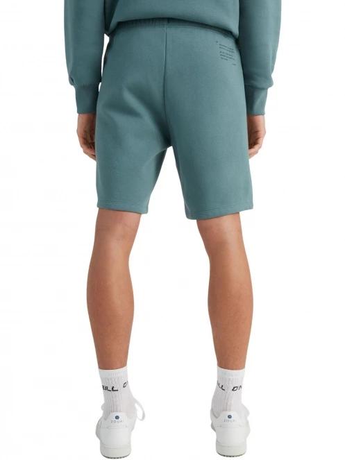pantaloni scurti pt. barbati O'Neill Future Surf Short albastru 3