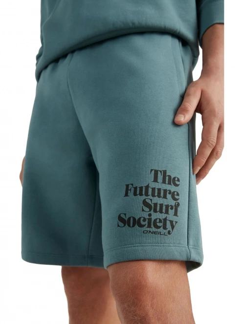 pantaloni scurti pt. barbati O'Neill Future Surf Short albastru 4