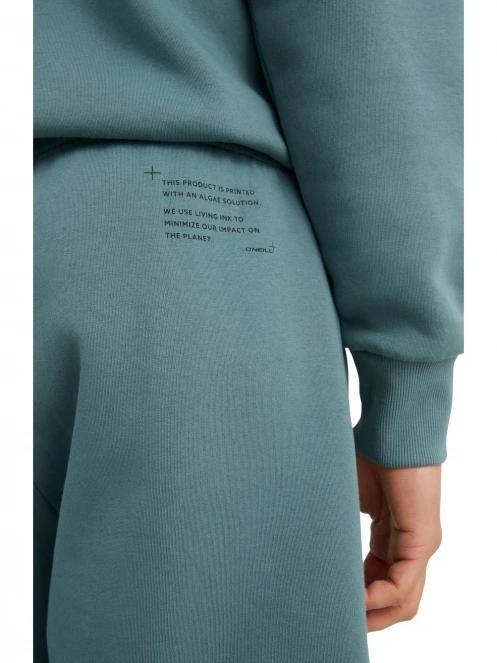 pantaloni scurti pt. barbati O'Neill Future Surf Short albastru 5
