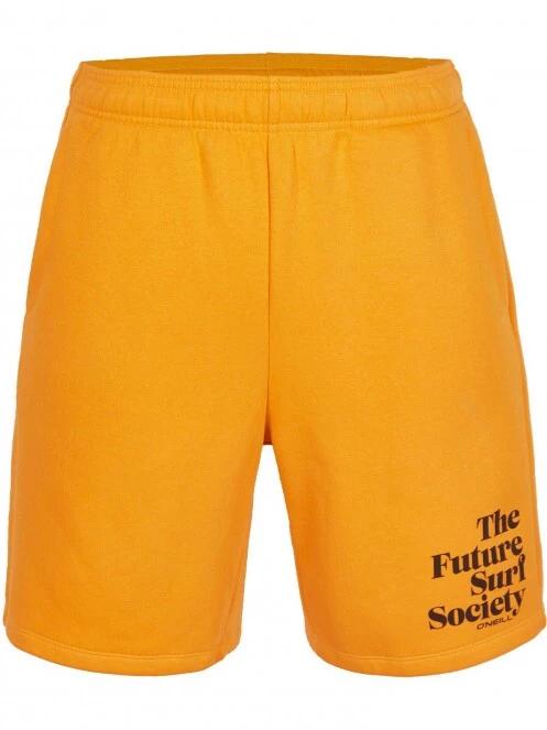 pantaloni scurti pt. barbati O'Neill Future Surf Short albastru 6