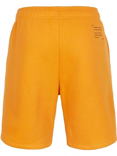 pantaloni scurti pt. barbati O'Neill Future Surf Short albastru 7