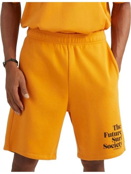 pantaloni scurti pt. barbati O'Neill Future Surf Short portocaliu 2
