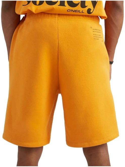 pantaloni scurti pt. barbati O'Neill Future Surf Short portocaliu 3