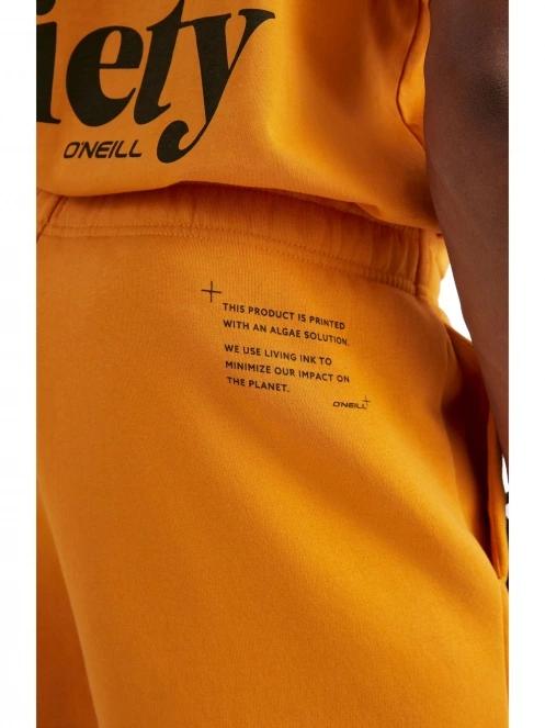 pantaloni scurti pt. barbati O'Neill Future Surf Short portocaliu 5