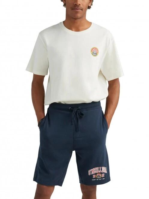 pantaloni scurti pt. barbati O'Neill Surf State Jogger Short albastru inchis 2