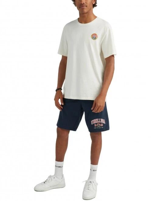 pantaloni scurti pt. barbati O'Neill Surf State Jogger Short albastru inchis 5