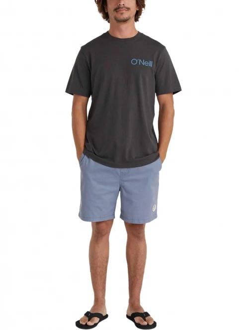 pantaloni scurti pt. barbati O'Neill Og Porter Shorts albastru 4