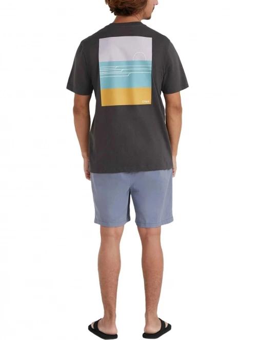 pantaloni scurti pt. barbati O'Neill Og Porter Shorts albastru 5