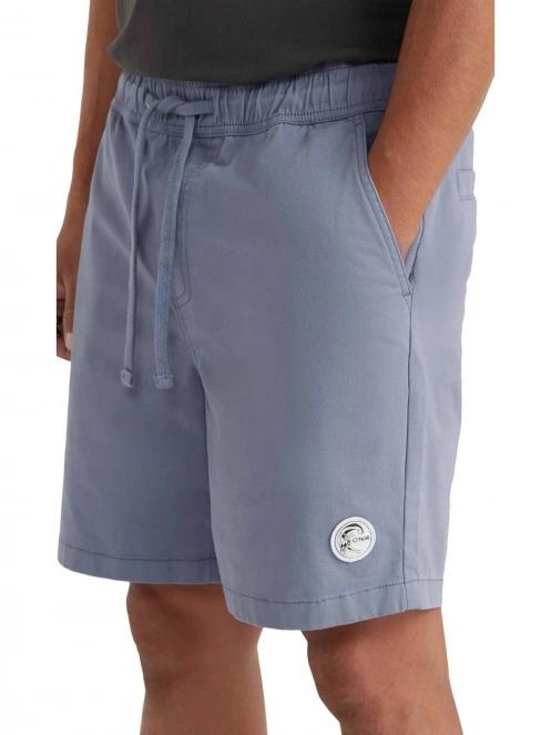 pantaloni scurti pt. barbati O'Neill Og Porter Shorts albastru 6
