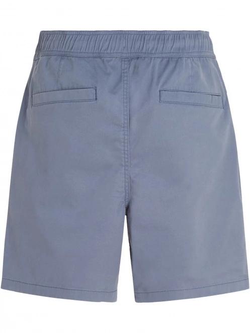 pantaloni scurti pt. barbati O'Neill Og Porter Shorts albastru 8