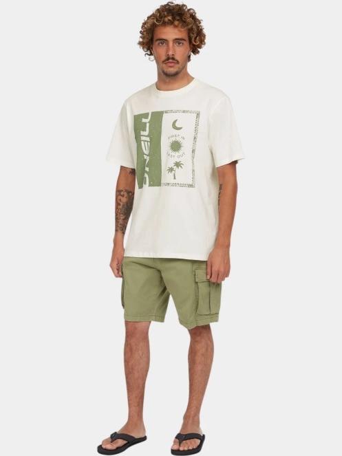 pantaloni scurti cu buzunare laterale pt. barbati O'Neill Essentials Cargo Shorts verde 5