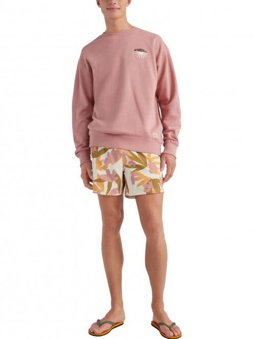 pulover pt. barbati O'Neill Camorro Sweatshirt roz 6