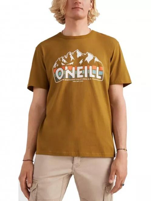 tricou cu maneci scurte pt. barbati O'Neill Outdoor T-Shirt maro 2