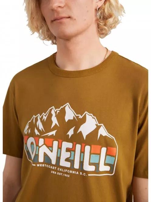 tricou cu maneci scurte pt. barbati O'Neill Outdoor T-Shirt maro 4