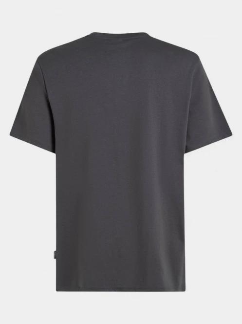 tricou cu maneci scurte pt. barbati O'Neill Original Cali Logo T-Shirt gri 7