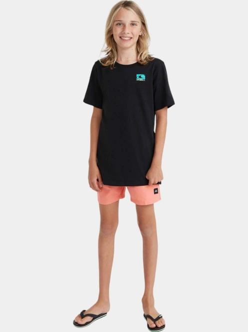 sorturi de baie pentru barbati O'Neill Mix & Match Cali Block 13'' Swim Shorts negru 4