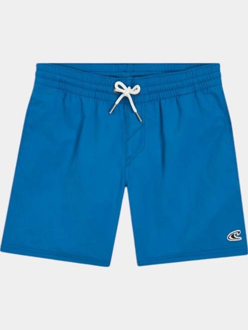 sorturi de baie pentru barbati O'Neill Vert 14