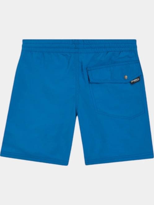 sorturi de baie pentru barbati O'Neill Vert 14