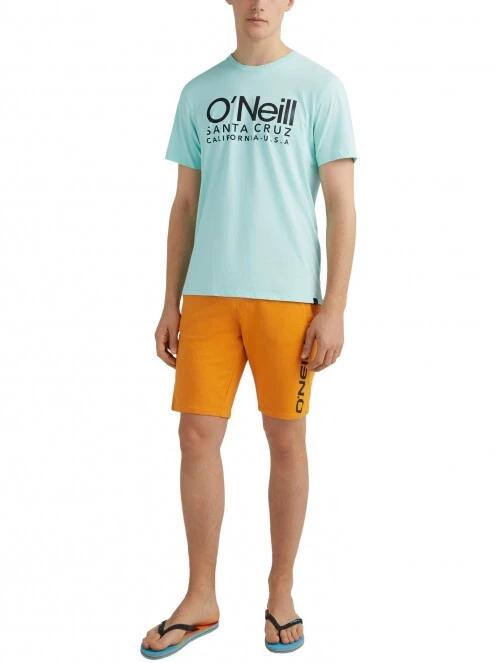 pantaloni scurti pt. barbati O'Neill Sweat Shorts Men portocaliu 6