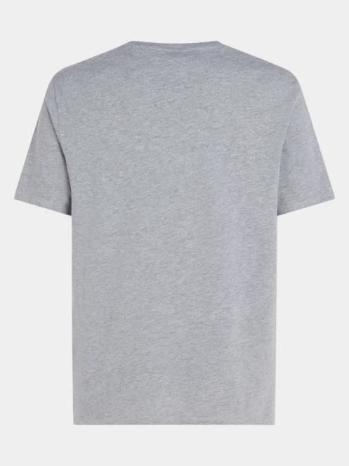 tricou cu maneci scurte pt. barbati O'Neill O'Neill Logo T-Shirt gri 3