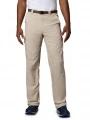pantaloni de drumetie pt. barbati Columbia Silver Ridge Cargo Pant nisip 1