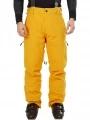 pantaloni de schi pt. barbati Fundango Teak Pants portocaliu 1