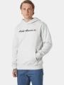 pulover cu gluga pt. barbati Helly Hansen Core Graphic Sweat Hoodie gri 1