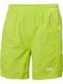 sorturi de baie pentru barbati pt. barbati Helly Hansen Calshot Trunk verde 1