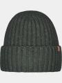 sapca pt. barbati Barts Wyon Beanie oliv 1