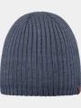 sapca pt. barbati Barts Wilbert Beanie albastru 1