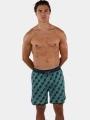 sorturi de baie pentru barbati pt. barbati Barts Crampton Shorts verde 1