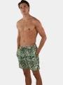 sorturi de baie pentru barbati pt. barbati Barts Fervis Shorts verde 1