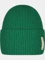 sapca Barts Fyrby Beanie verde 1