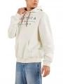 pulover cu gluga pt. barbati Nautica Malbo OH Hoody alb 1