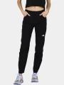 pantaloni de drumetie pt. femei The North Face W Exploration Pant negru 1