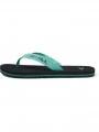 papuci pt. barbati O'Neill Cove Bloom Sandals negru 1
