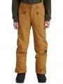 pantaloni de schi pt. barbati O'Neill Hammer Pants maro 1