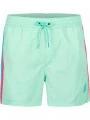 sorturi de baie pentru barbati pt. barbati O'Neill Vert Retro 14'' Swim Shorts albastru deschis 1