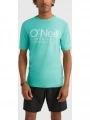 tricou cu maneci scurte pt. barbati O'Neill Cali S/Slv Skins albastru deschis 1