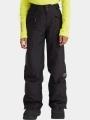 pantaloni de schi O'Neill Hammer Snow Pants negru 1