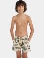 sorturi de baie pentru barbati O'Neill Mix & Match Cali Print 13'' Swim Shorts nisip 1